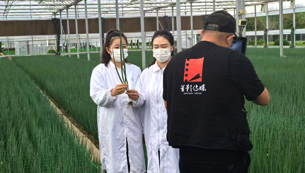 頂生食品企業宣傳片拍攝花絮